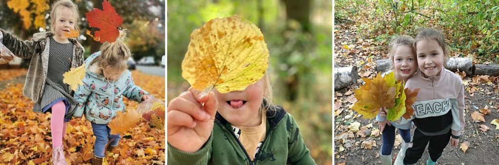 leaf science