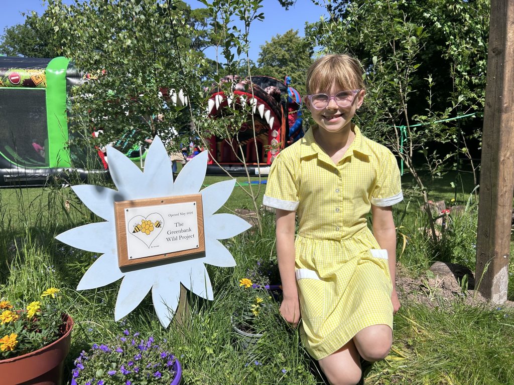 Greenbank School wild area